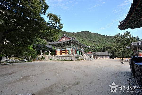 보문사 펜션에서 약 25km 자동차로 약 50분
새벽 동틀 무렵에 듣는 절 앞바다의 파도 소리와 눈썹바위의 마애관음보살상은 예로부터 내려오는 강화 8경에 드는 명승지로 꼽혔다. 번잡한 도심을 벗어나 서해바다의 비릿한 냄새를 머금은 바람을 맞으며 보문사에 오르면, 인천시기념물 17호로 지정된 수령 약 600여 년이나 된 향나무가 절 마당에 늘 은은한 향을 머금고 있다. 향나무 뒤에는 어부가 건져 올렸다는 전설이 있는 23나한님이 모셔져 있는 자연석으로 되어있는 거대한 석실이 있다. 눈썹바위의 마애석불은 절마당에서 약 8분 정도 올라가면, 서해 바다의 경치와 시간이 맞는다면 석양까지 볼 수 있다.
출처: 한국관광공사